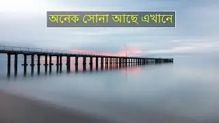 পৃথিবী কতটা অজানা ? Amazing facts about planet Earth