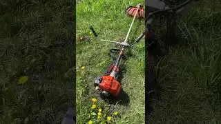 Зачистка!