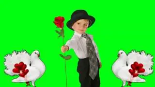 rose green screen effects.flowers green sceen effects.love effects.green screen .