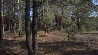 как выглядит одно и тоже место при разной погоде.