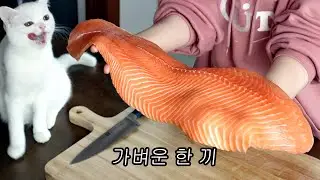 Ordinary daily routine of eating a meal of 1000g of salmon