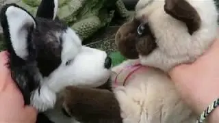 Webkinz Short Film: Tumblr