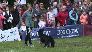 ThrowNGo 2 na LP 2017 Warszawa