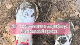 Бег. Подготовка к марафону. Длительный кросс 25 км. Тренировка по пересеченной местности.