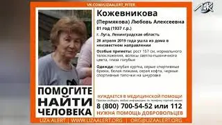 Пропал человек