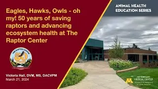 50 years of saving raptors and advancing ecosystem health at The Raptor Center