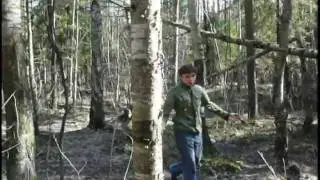 Каништа Бра, ун а щто вищтъ?