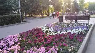 Загородный парк Самара