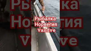 ,,, Ловля Красного Окуня в Норвегии