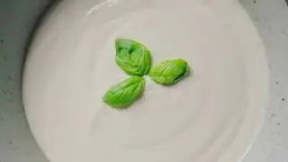DIY Vegan Cashew Cheese