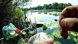 Рыбалка в жару  Где искать рыбу в жару.