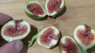 #figs