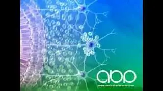 Fetal Brain Development