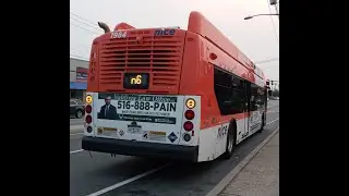 NICE Bus: 2021 New Flyer Xcelsior XN40 CNG 1984 n6 Bus @ Pacific Avenue/Hempstead Turnpike