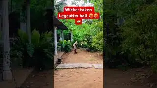 Wicket taken legcutter ball 😱😱 #shorts #cricket #bowlingtechnique