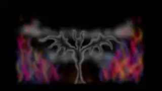 Illusion
