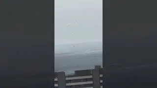 Полет на парашюте в плохую погоду череват большими неприятностями