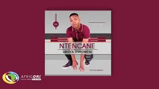 Ntencane - Isigqila Sothando (Official Audio) 