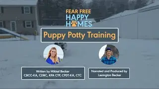 Puppy Potty Training