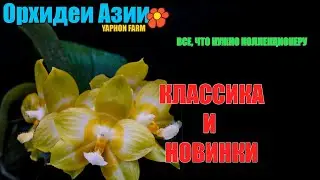Сорта для ценной коллекции.