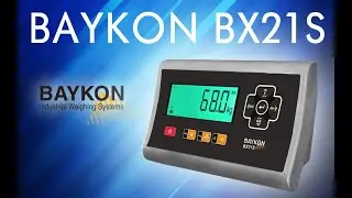 Affordable Negative Weighing with the Baykon BX21s