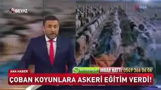 ÇOBAN KOYUNLARA ASKERİ EĞİTİM VERDİ.!
