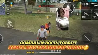 GOMBALIN BOCIL TOBRUT SAMPE MAU DI KASIH PAP NGANU