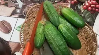 МОИ ОГУРЧИКИ урожай этого года