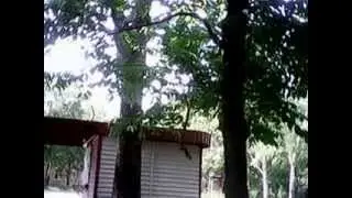 На остановке перед поездкой домой