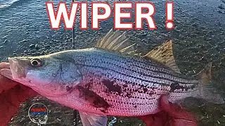 Shore Fishing Nebraska For Hybrid Striped Bass ( Wipers ) At Sundown !