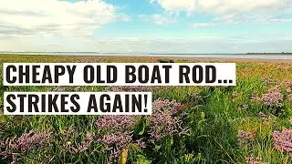 A Great Day Out With Bonus Fish! Sea Fishing UK