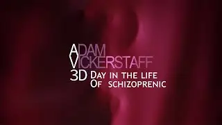 A Day in the Life of  Schizophrenic
