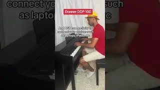 Donner DDP 100 playing We Are from One Piece 