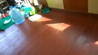 Зайка Стёпа