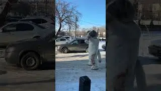#барнаул #Алтай #поздравления
