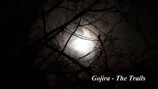 Gojira: The Trails | 1 Hour extended