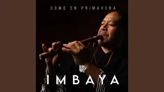 Como en Primavera