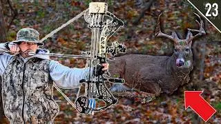 BOW HUNTING During the RUT!! (Iowa Public Land)