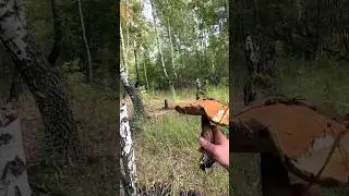 В ЛЕС ЗА ГРИБАМИ. Влог / Подкаст