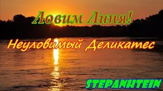 Трудно поймать линя? Не все так сложно как кажется.
