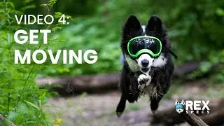Rex Specs Training Video: Get Moving