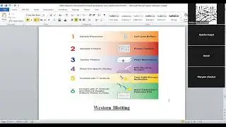 Immunology Viva & Ospe basic Questions|| Fast overview