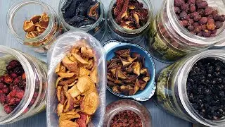 How to properly store dried fruits 🍎🍐🍇 at home