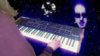 Dawn Chorus (Synth Cover)