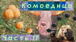 Комоедица в селе Бегомль Минской губернии. День пробуждения медведя. Как и когда? | Часть Вторая.