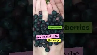 Blueberry Smoothie Recipe With Banana 2021 - How To Make Blueberry Smoothies Recipe #shorts
