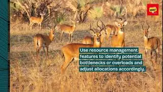 What is Project Management Software and How to Streamline Your Projects?