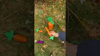 I 3D Printed CARROTs for my garden 🥕