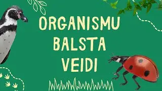 7. klases bioloģija.  Organismu balsta veidi