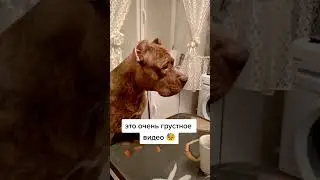 🥺